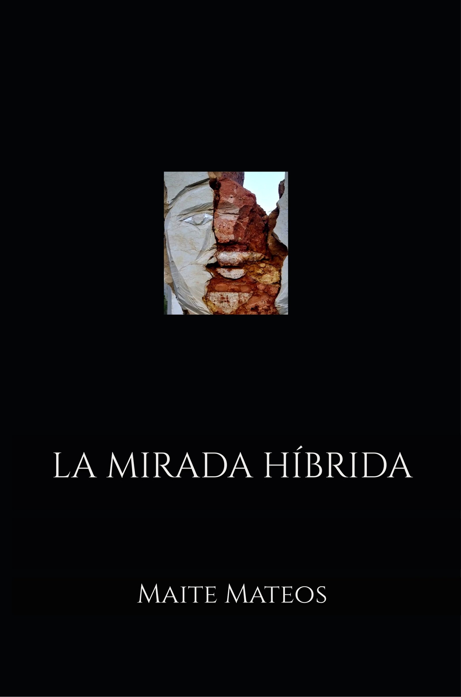 La mirada híbrida